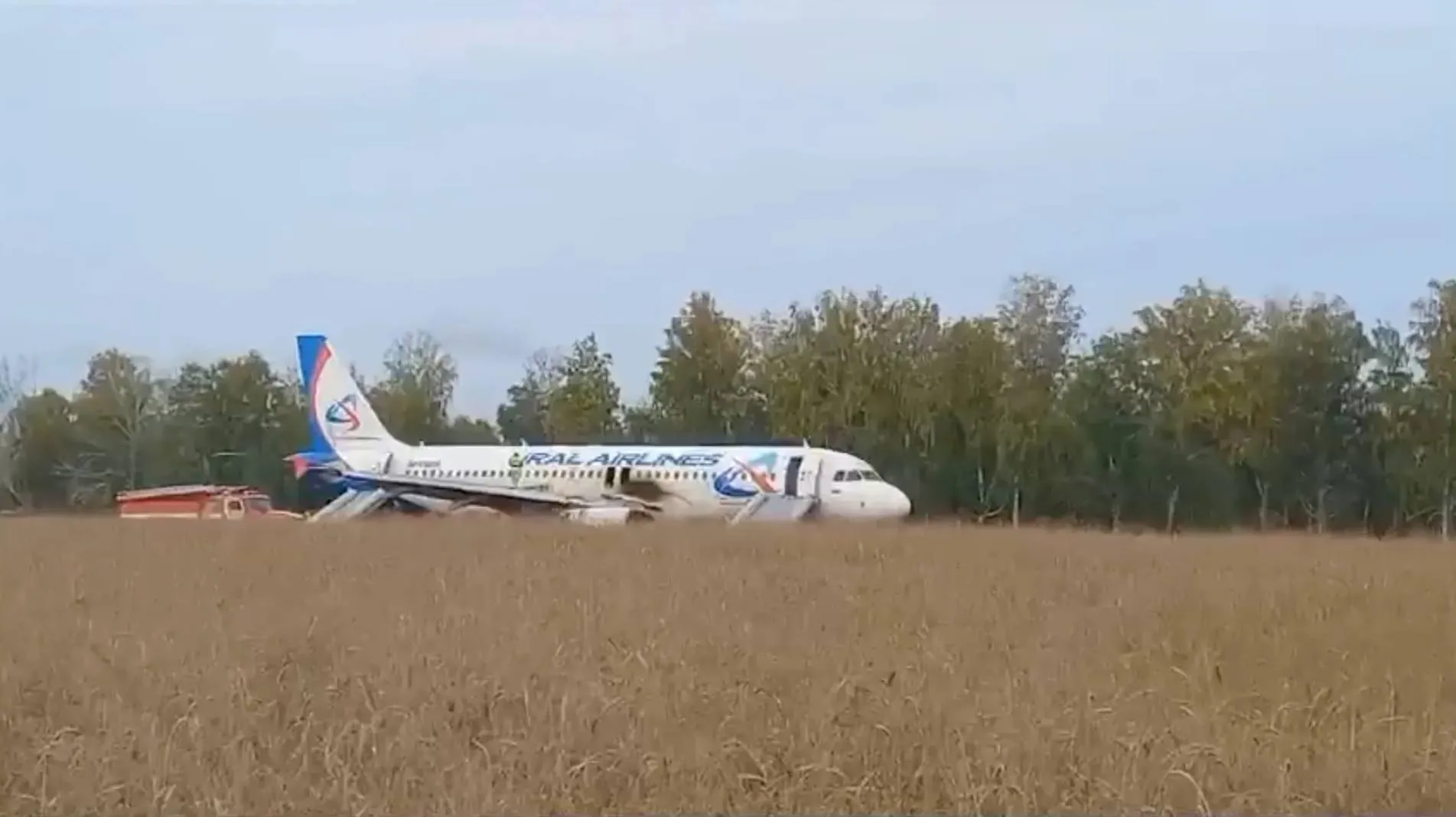 Хватаюсь за всё: Раскрыта судьба второго пилота, посадившего самолёт в поле под Новосибирском